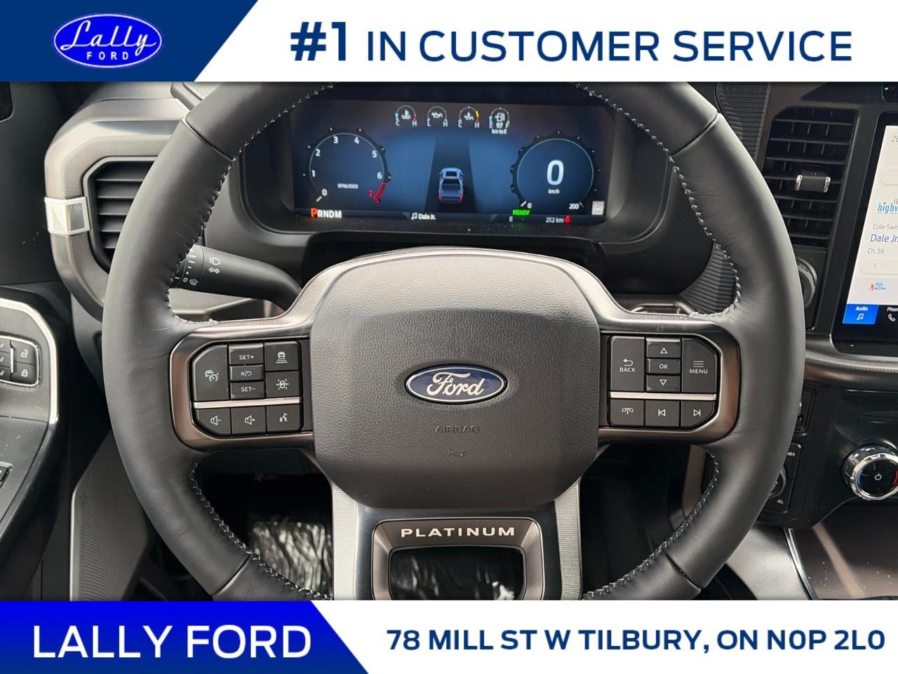 2025 Ford F-150 Platinum 4WD SuperCrew 5.5' Box Photo