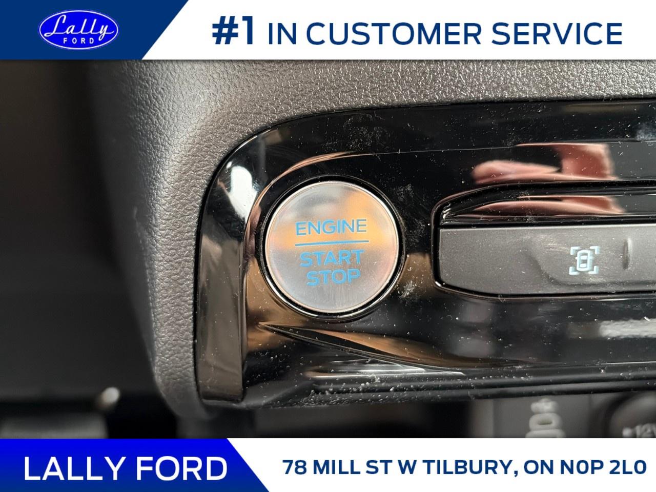 2026 Ford Escape ST-Line AWD Photo