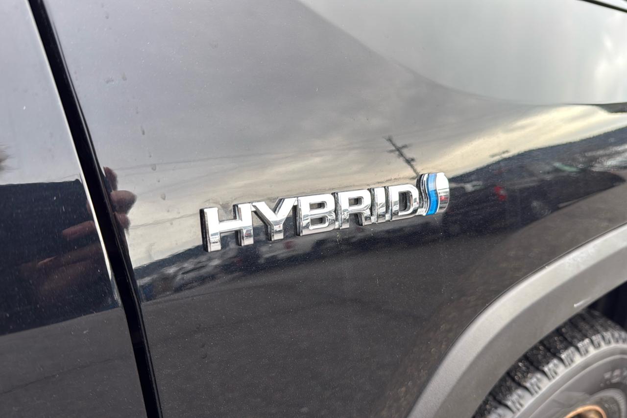 2019 Toyota RAV4 Hybrid LE Photo