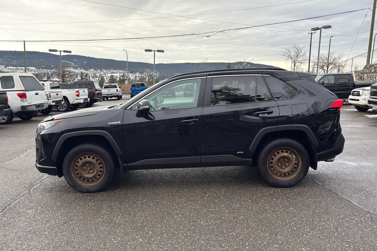 2019 Toyota RAV4 Hybrid LE Photo3