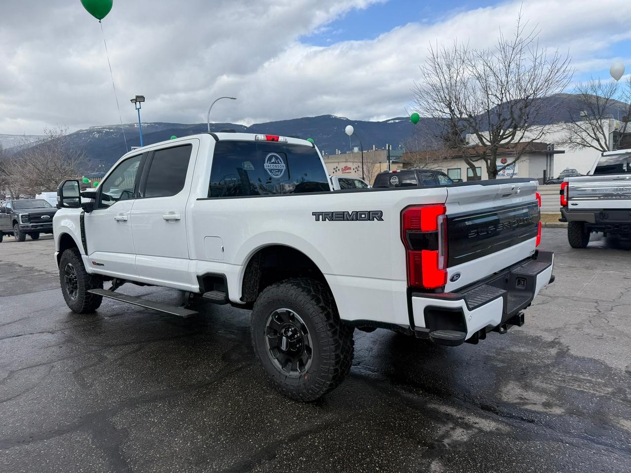 2026 Ford F-350 Super Duty SRW Platinum Photo2
