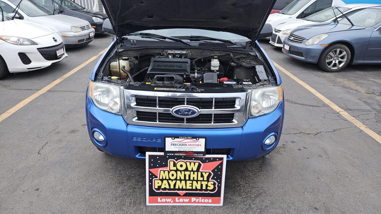 2011 Ford Escape XLT Photo