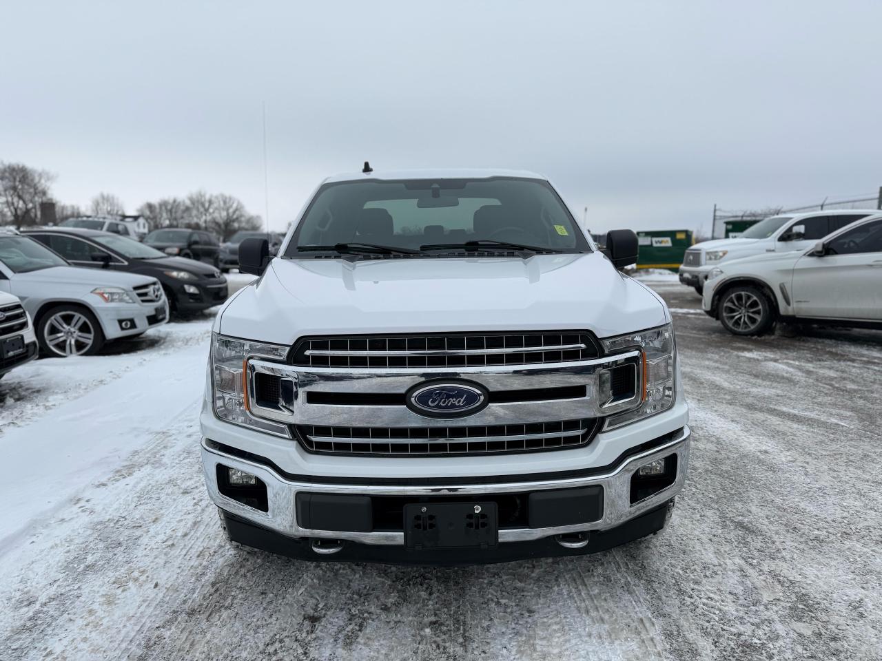 2020 Ford F-150 XLT Photo