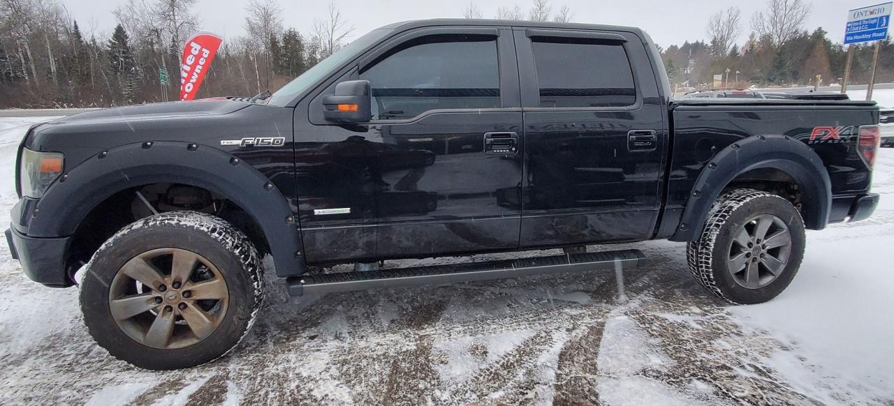 2014 Ford F-150 FX4 Photo