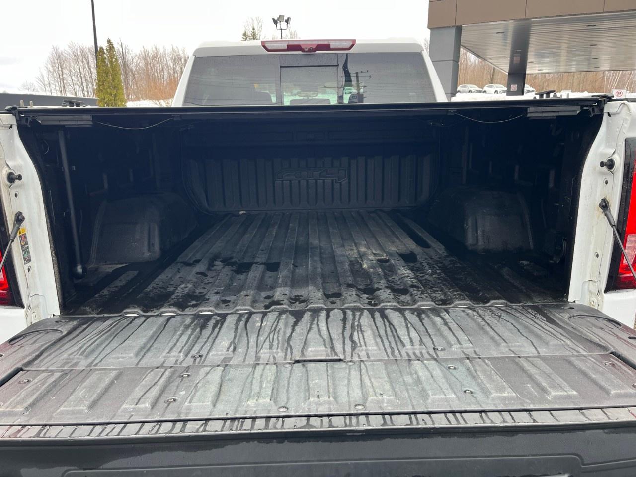 2022 GMC Sierra 1500 Crew Cab Short Box 4-Wheel Drive AT4 Photo