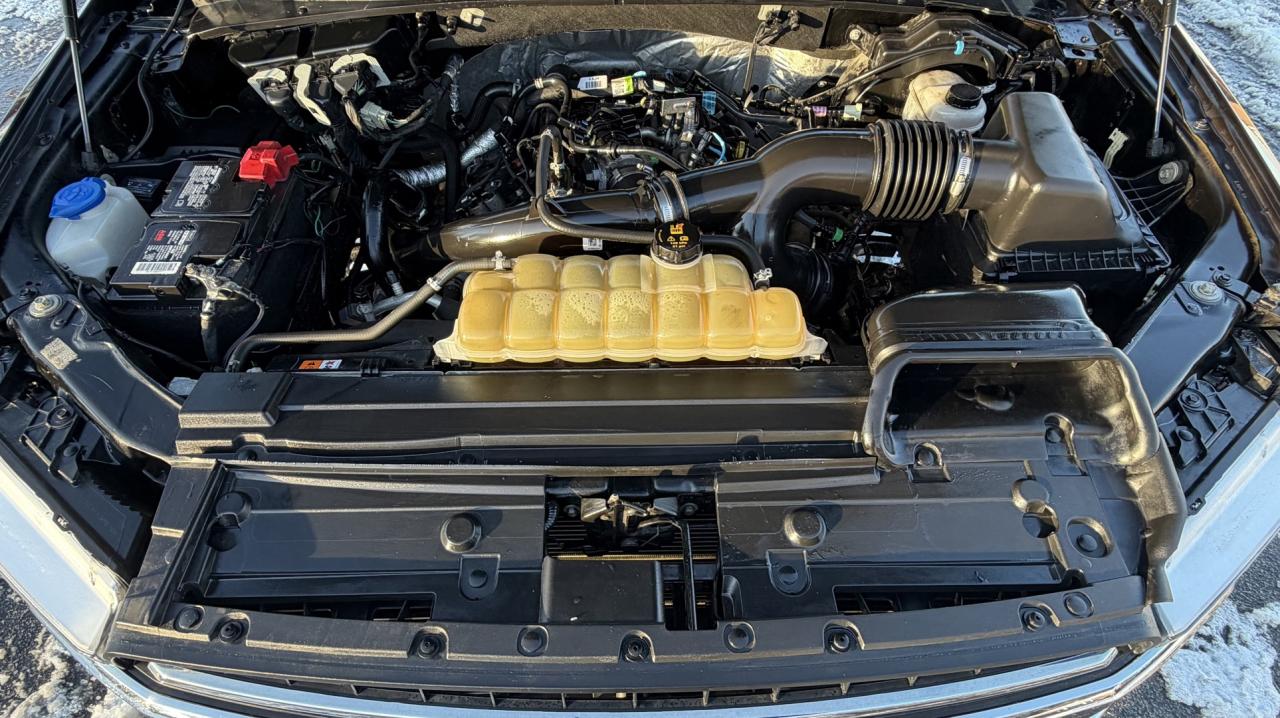 2020 Ford F-150 XLT SuperCrew 4WD Photo