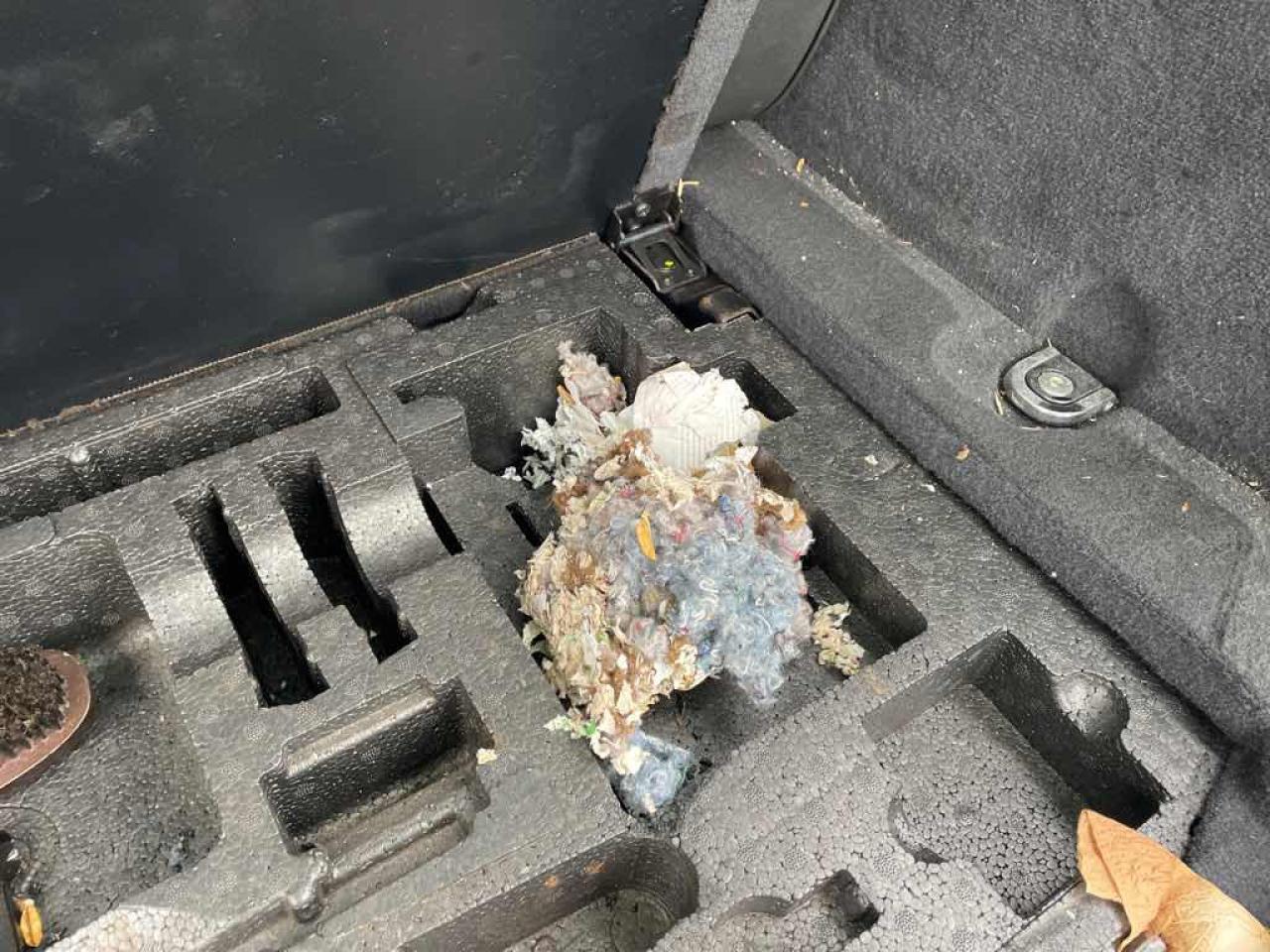 2009 Land Rover Range Rover SPORT Photo