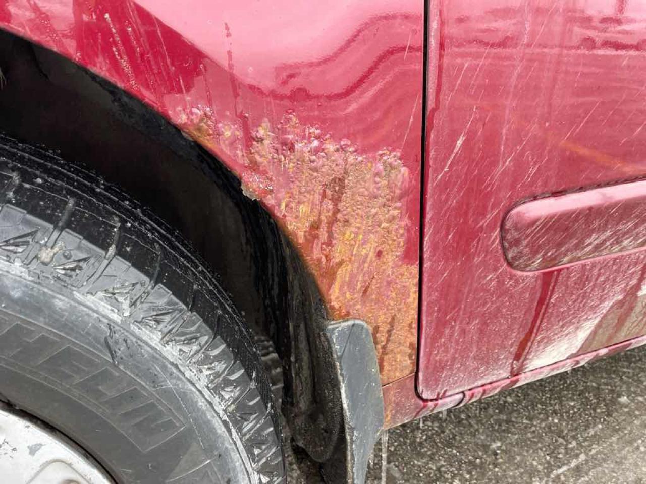 2008 Kia Sedona EX Photo