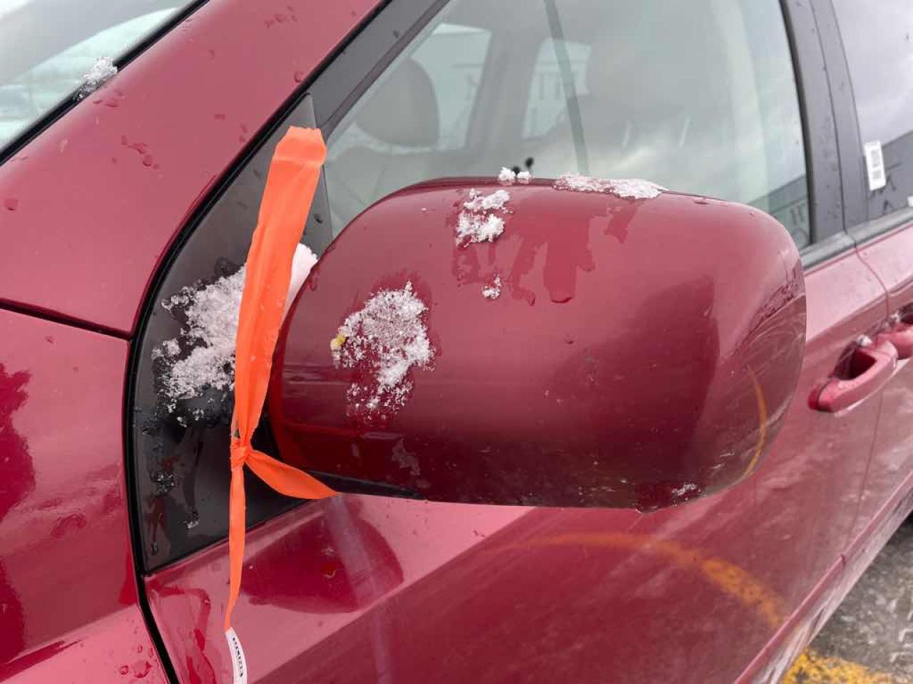 2008 Kia Sedona EX Photo