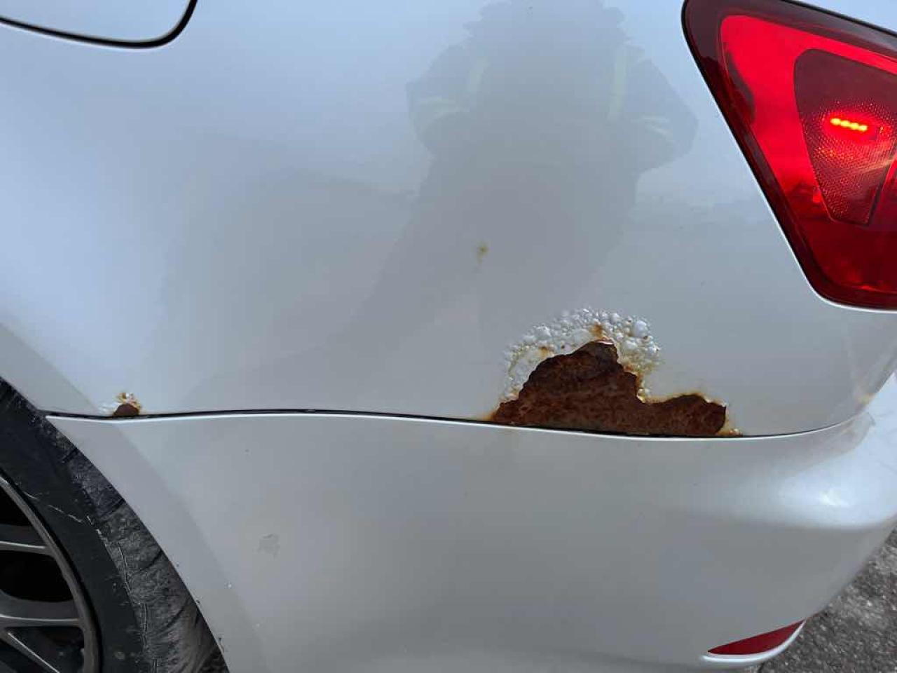 2006 Lexus IS 250  Photo