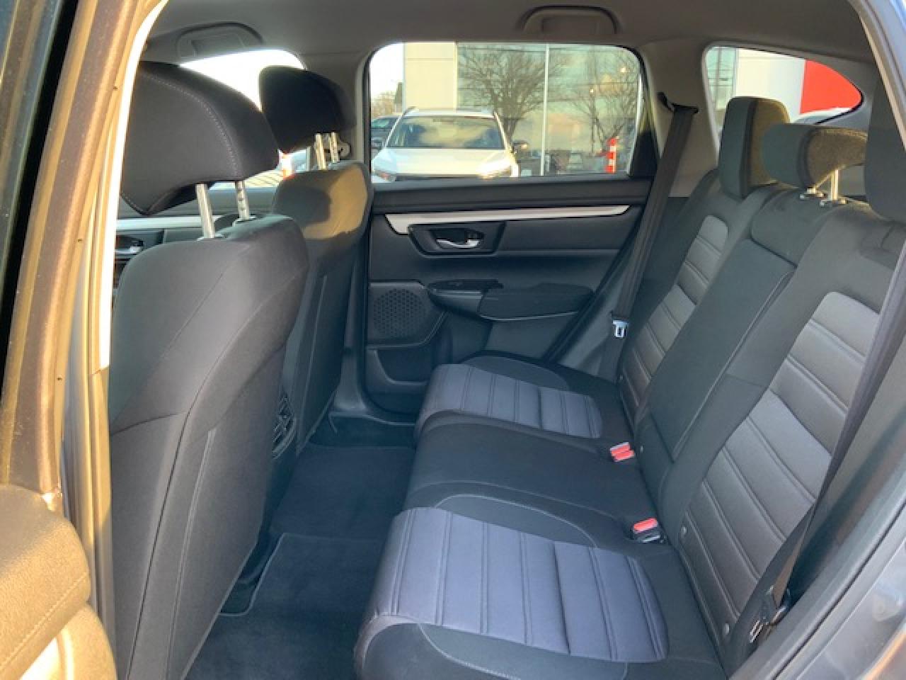 2021 Honda CR-V LX AWD Photo