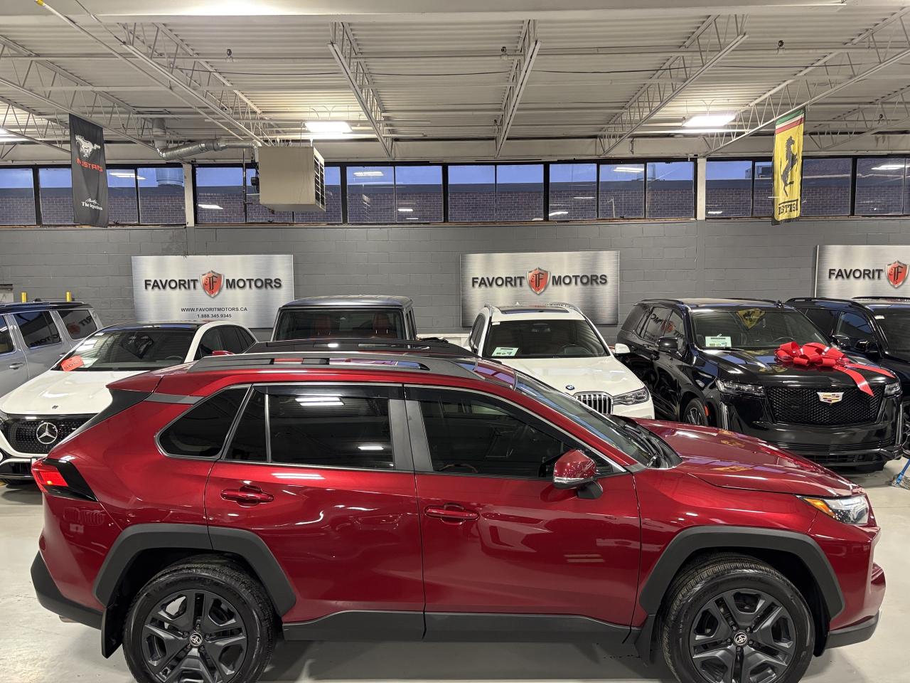 2023 Toyota RAV4 Trail AWD|LEATHER|SUNROOF|TERRAINMODES|BACKUPCAM|+ - Photo #3