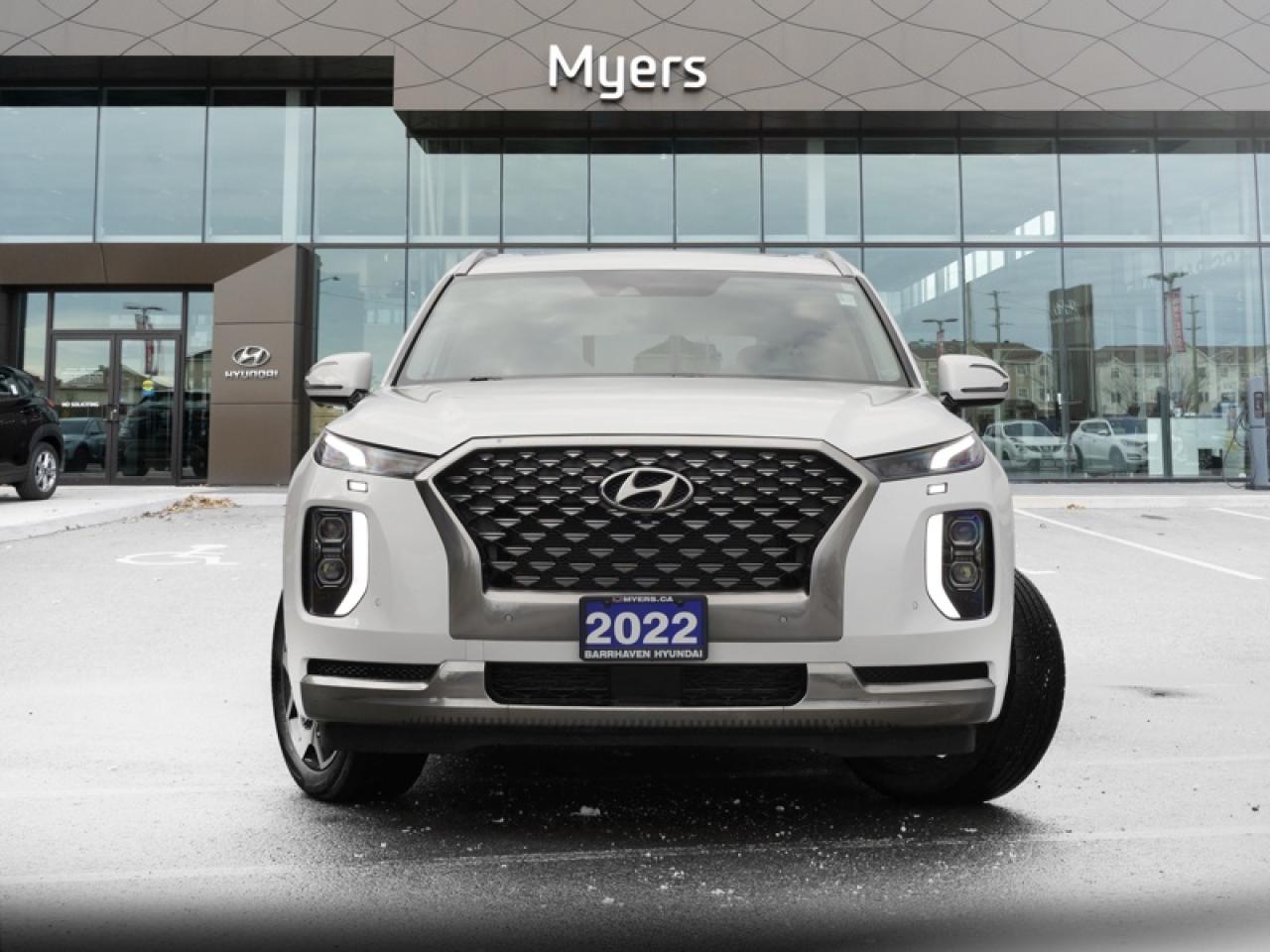 2022 Hyundai PALISADE Ultimate Calligraphy  -  Cooled Seats - $243 B/W Photo