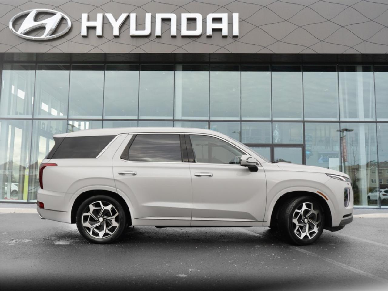 2022 Hyundai PALISADE Ultimate Calligraphy  -  Cooled Seats - $243 B/W Photo