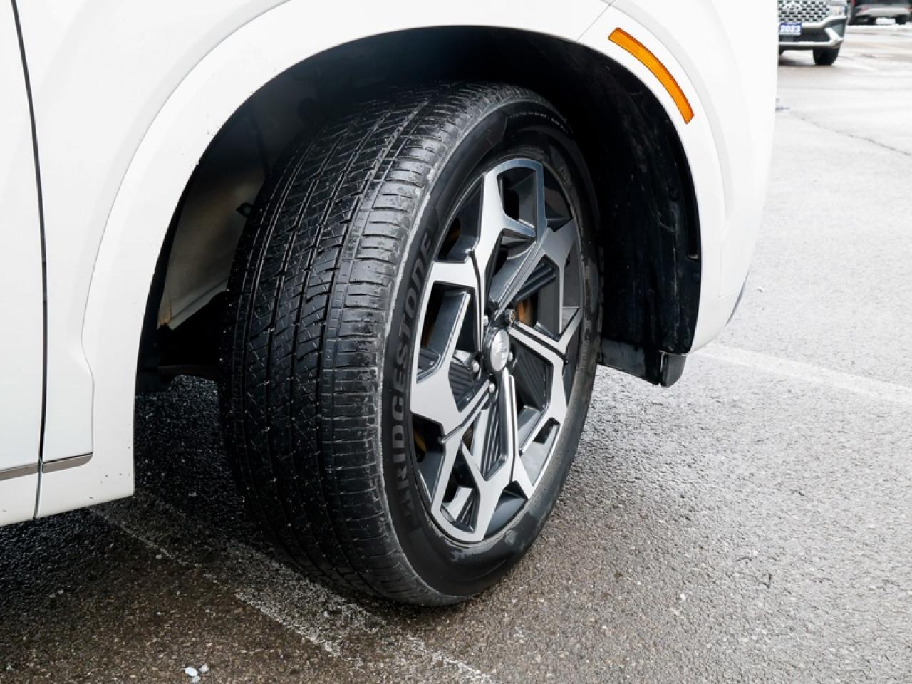 2022 Hyundai PALISADE Ultimate Calligraphy  -  Cooled Seats - $243 B/W Photo