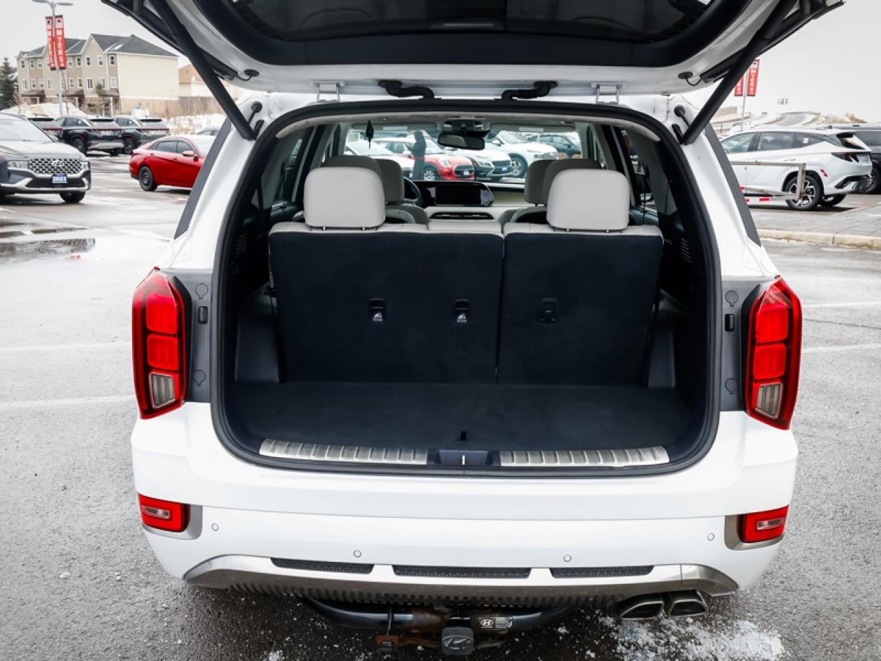 2022 Hyundai PALISADE Ultimate Calligraphy  -  Cooled Seats - $243 B/W Photo