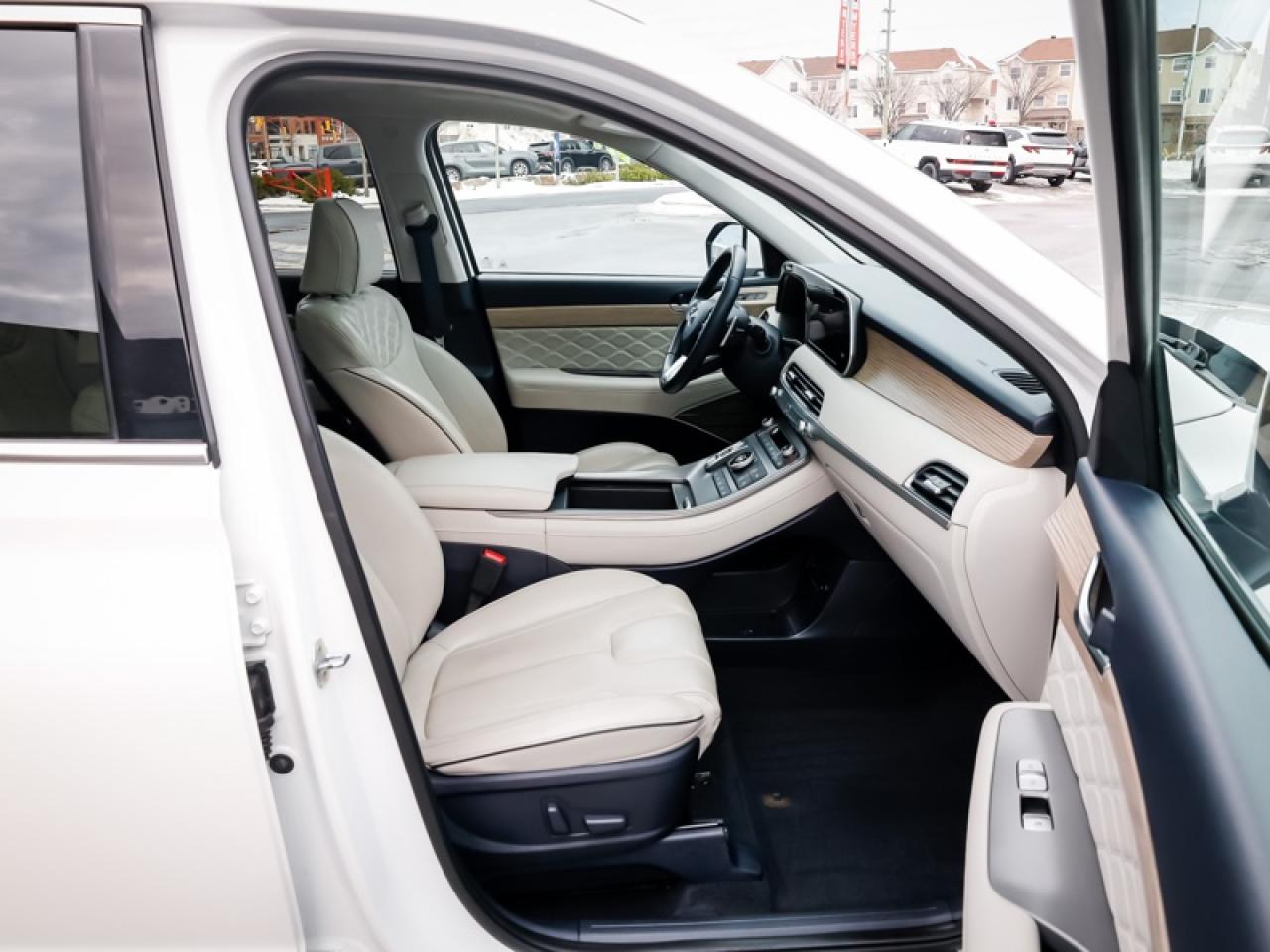 2022 Hyundai PALISADE Ultimate Calligraphy  -  Cooled Seats - $243 B/W Photo