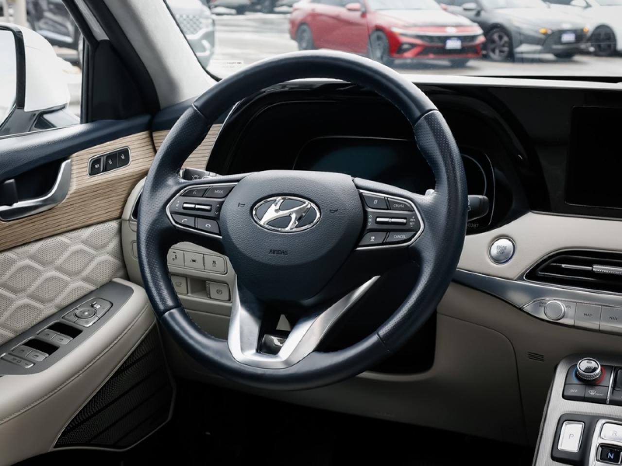 2022 Hyundai PALISADE Ultimate Calligraphy  -  Cooled Seats - $243 B/W Photo