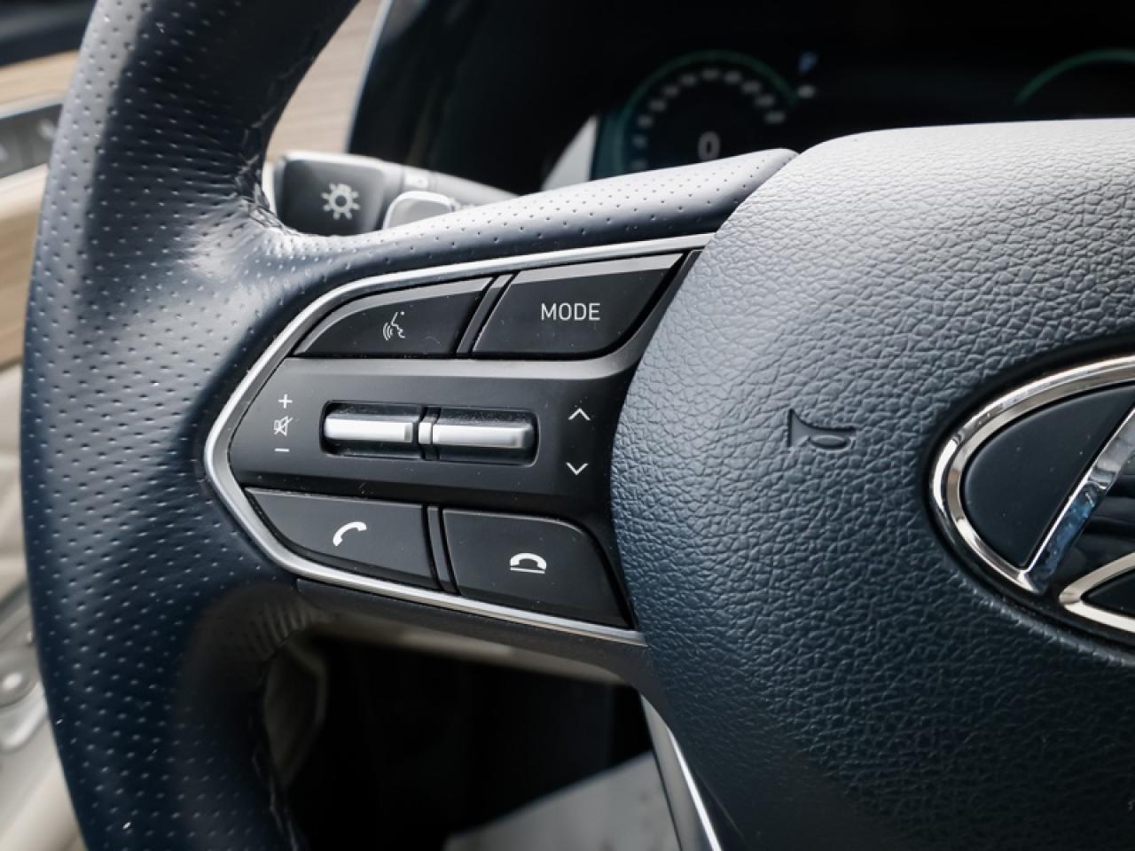 2022 Hyundai PALISADE Ultimate Calligraphy  -  Cooled Seats - $243 B/W Photo