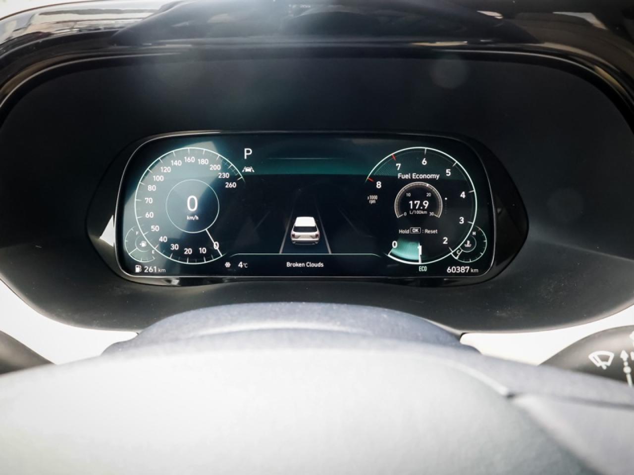 2022 Hyundai PALISADE Ultimate Calligraphy  -  Cooled Seats - $243 B/W Photo