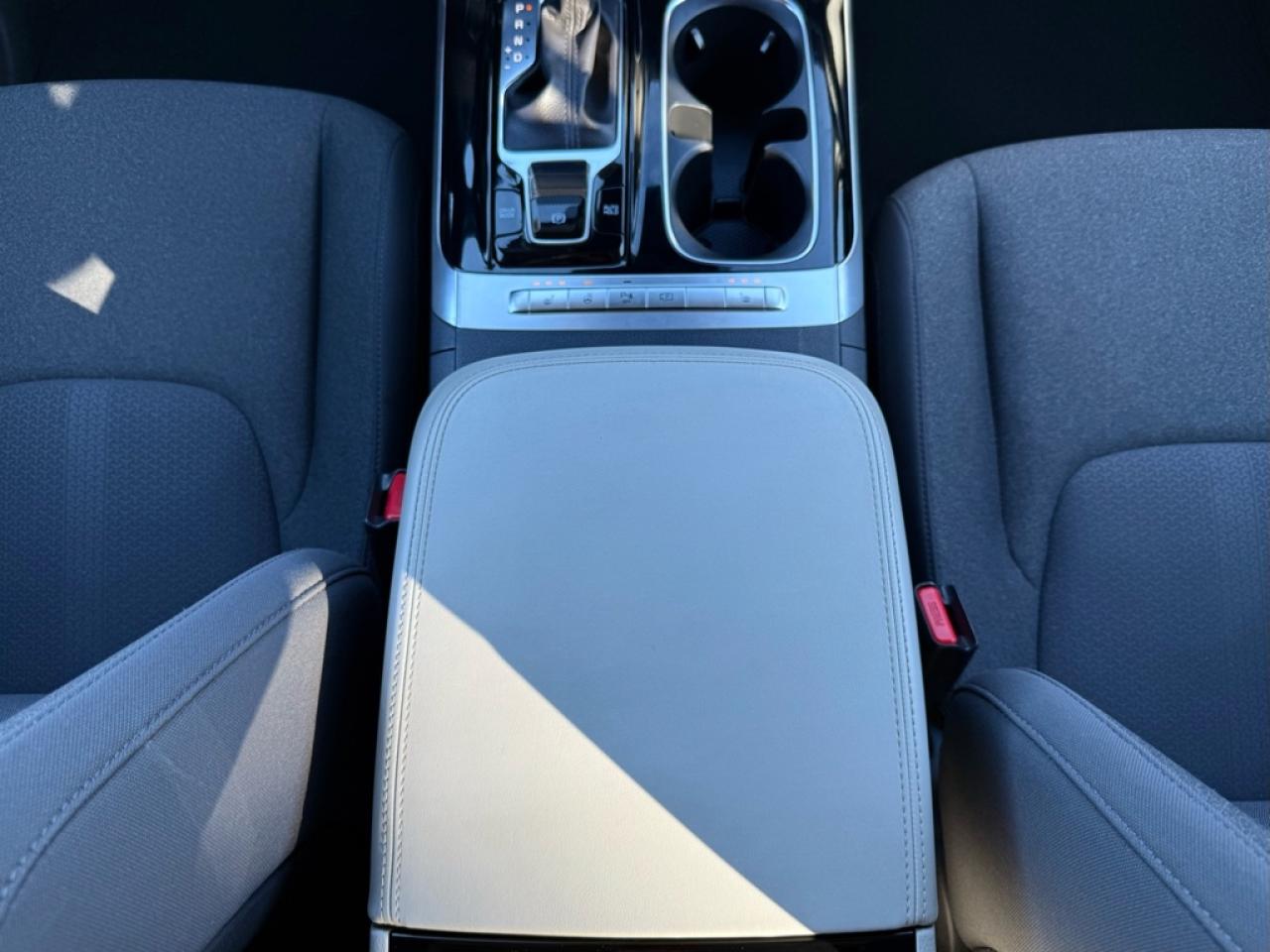 2024 Kia Carnival LX  - Apple CarPlay -  Android Auto - $108.96 /Wk Photo