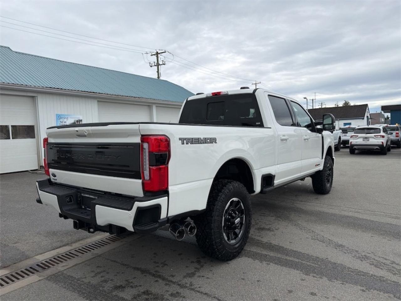 2026 Ford F-350 Super Duty Platinum  - Premium Audio Photo4