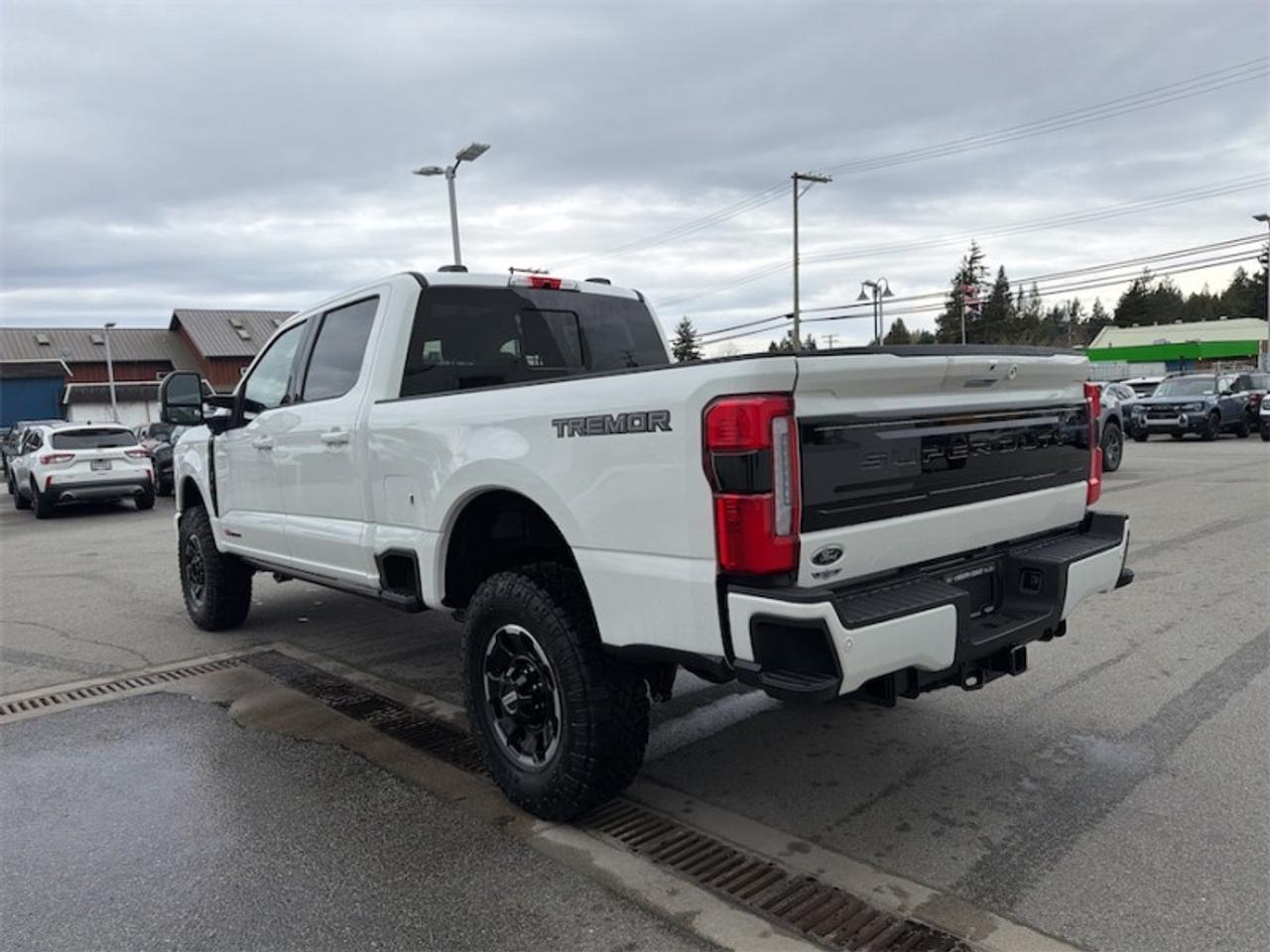 2026 Ford F-350 Super Duty Platinum  - Premium Audio Photo2
