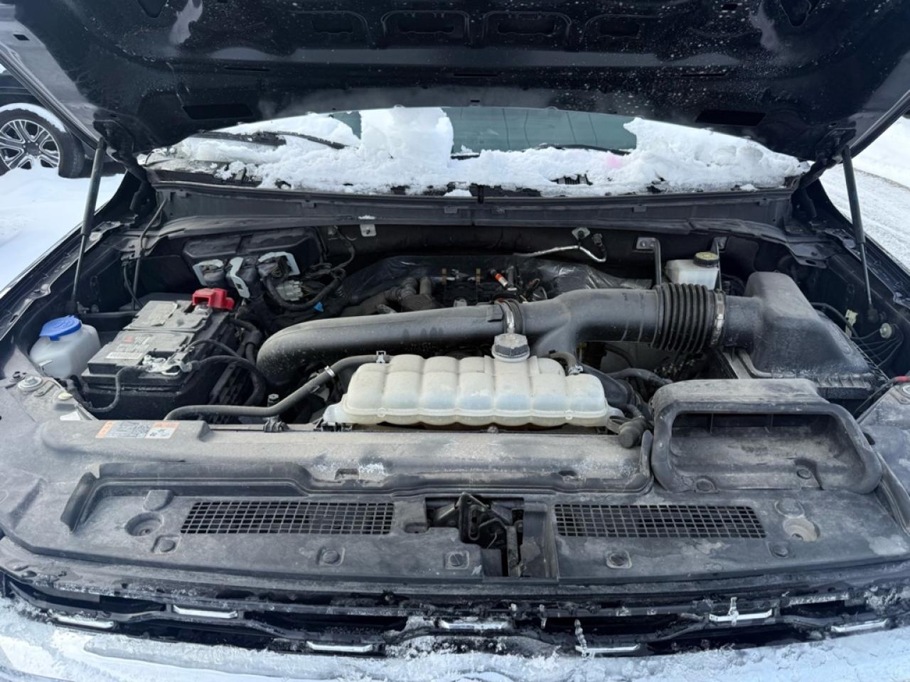 2023 Ford Expedition Limited   - Sunroof -  Cooled Seats Photo