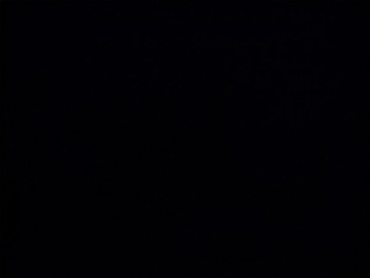 13319516