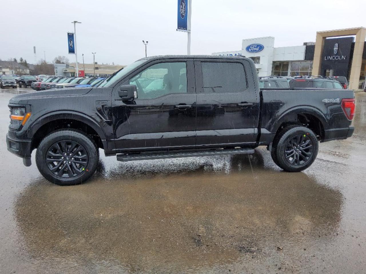 2026 Ford F-150 XLT Photo