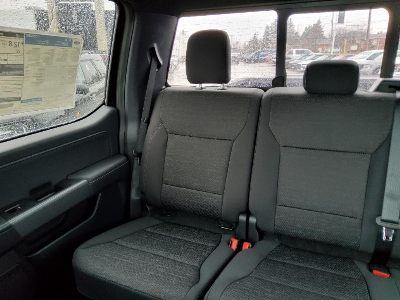 2026 Ford F-150 XLT Photo