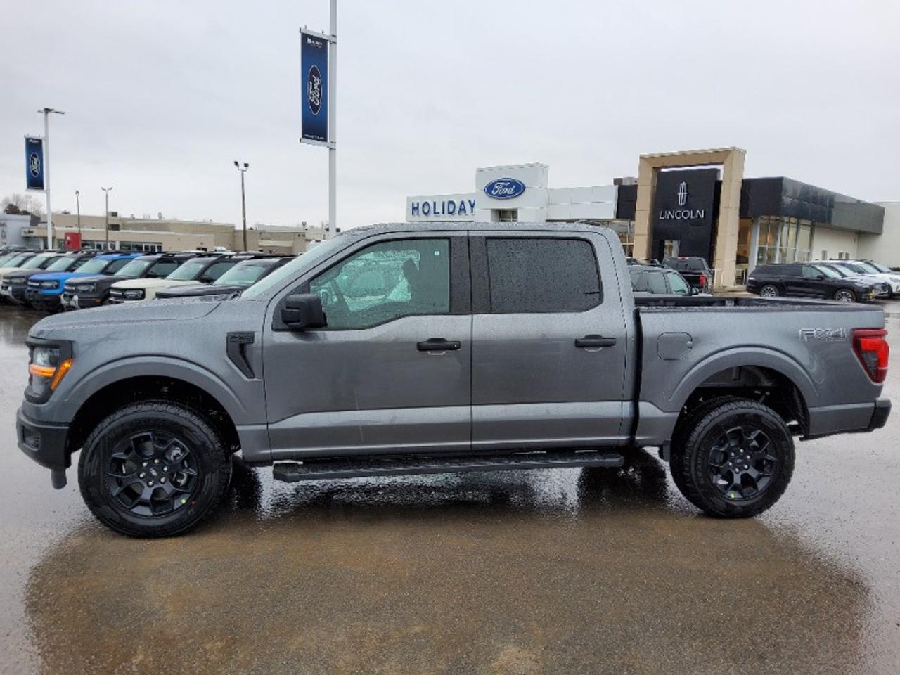2026 Ford F-150 STX Photo