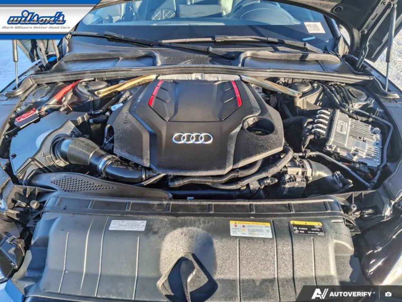 2023 Audi S5 Sportback Progressiv AWD | S-Line | Black Optic Plus | Sport | Leather | Nav | Sunroof | Heated Wheel & More ! Photo