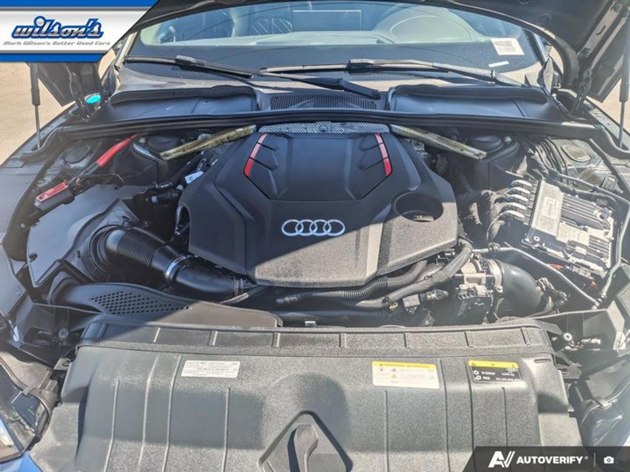 2023 Audi S5 Sportback Progressiv AWD | S-Line | Black Optic Plus | Sport | Leather | Nav | Sunroof | Heated Wheel & More ! Photo