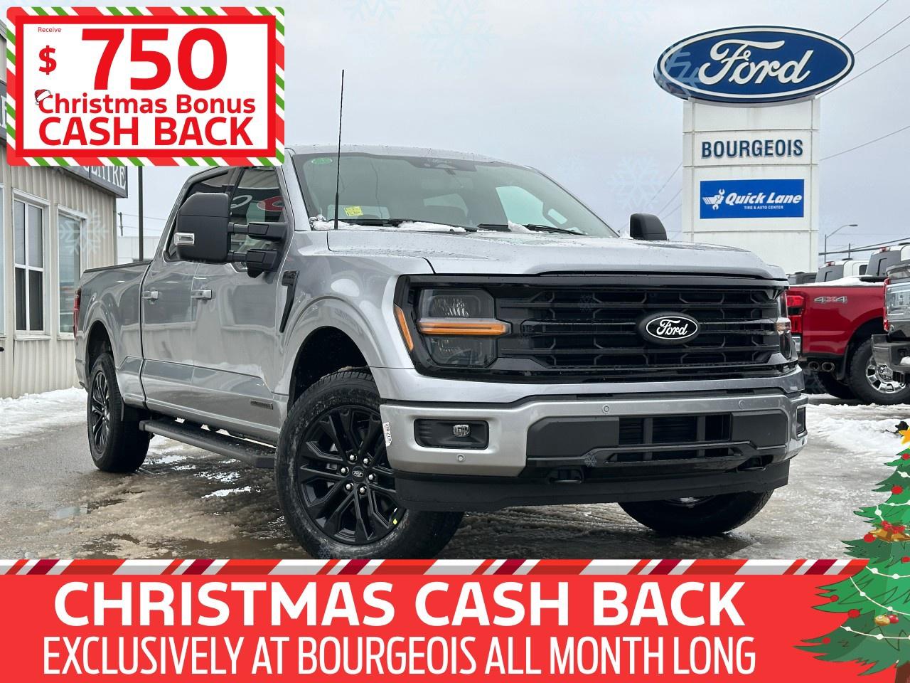 2025 Ford F-150 XLT 4WD SuperCrew 6.5' Box Photo0