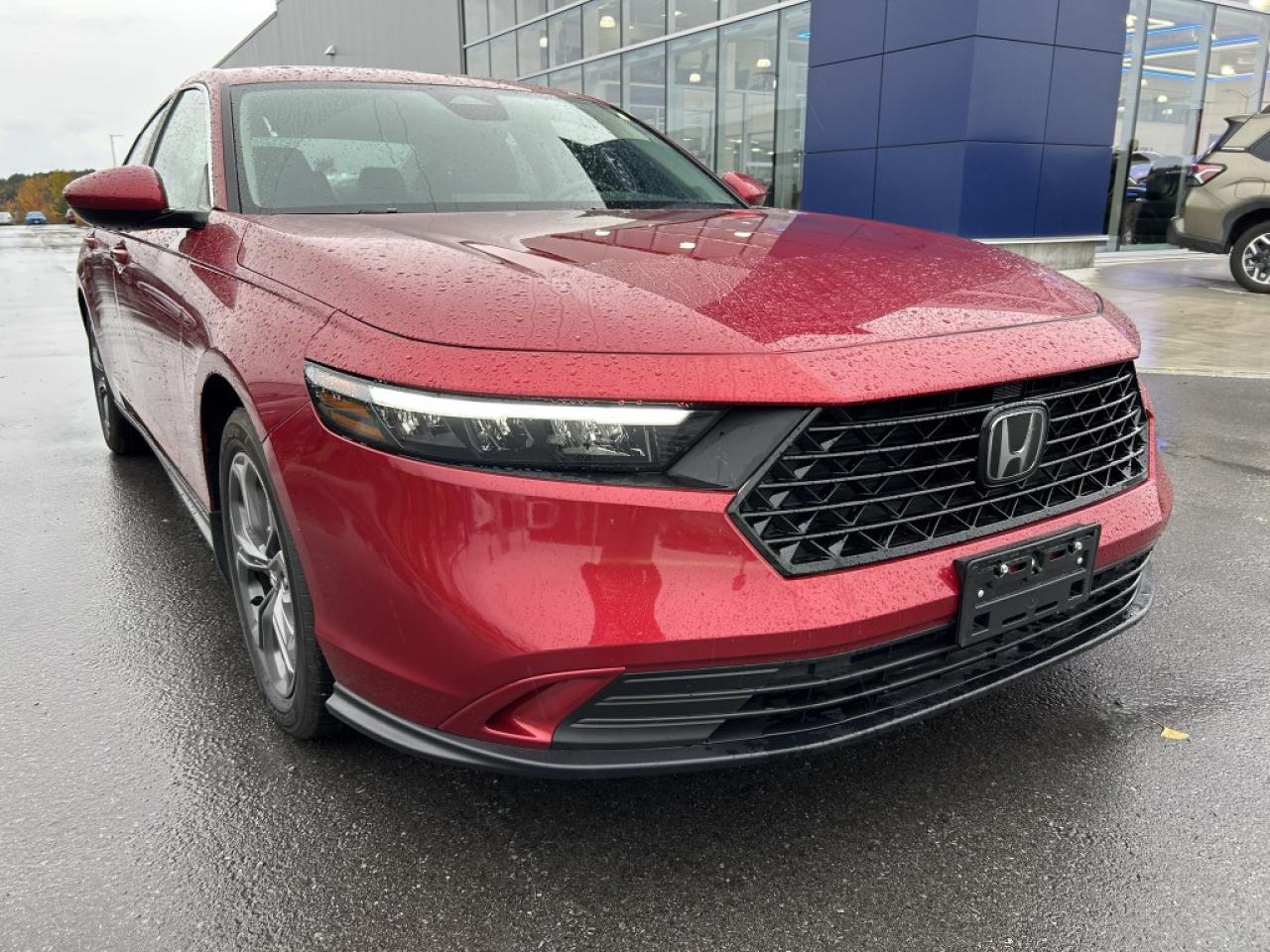 2023 Honda Accord Sedan EX  - Sunroof -  Heated Seats Photo