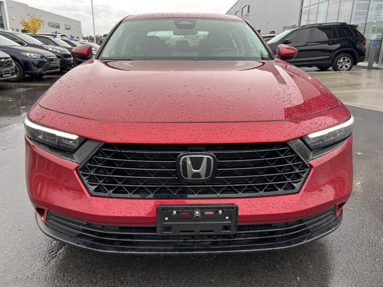 2023 Honda Accord Sedan EX  - Sunroof -  Heated Seats Photo