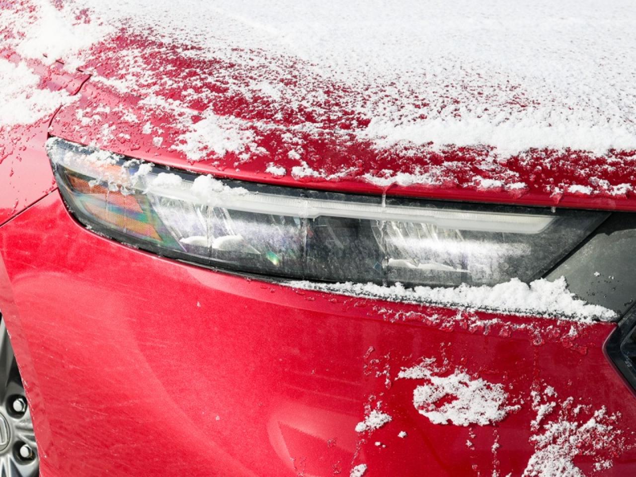 2023 Honda Accord Sedan EX  - Sunroof -  Heated Seats - $243 B/W Photo