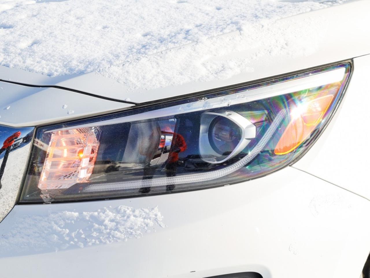 2019 Kia Sedona - $134 B/W Photo