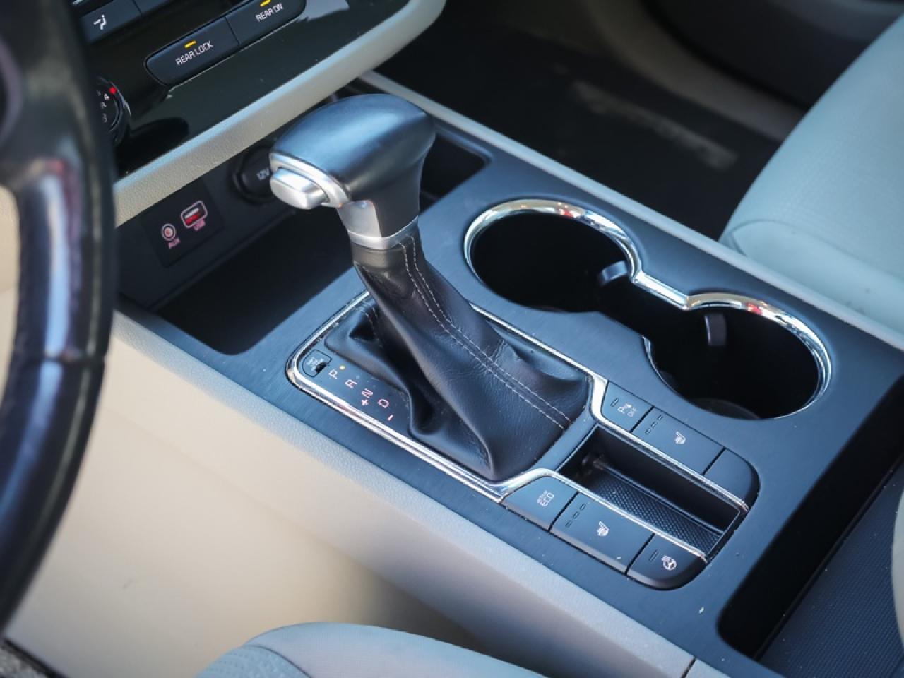 2019 Kia Sedona - $134 B/W Photo