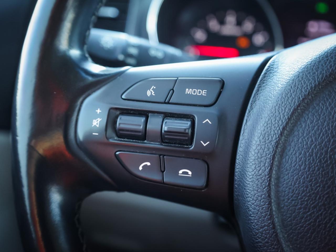 2019 Kia Sedona - $134 B/W Photo