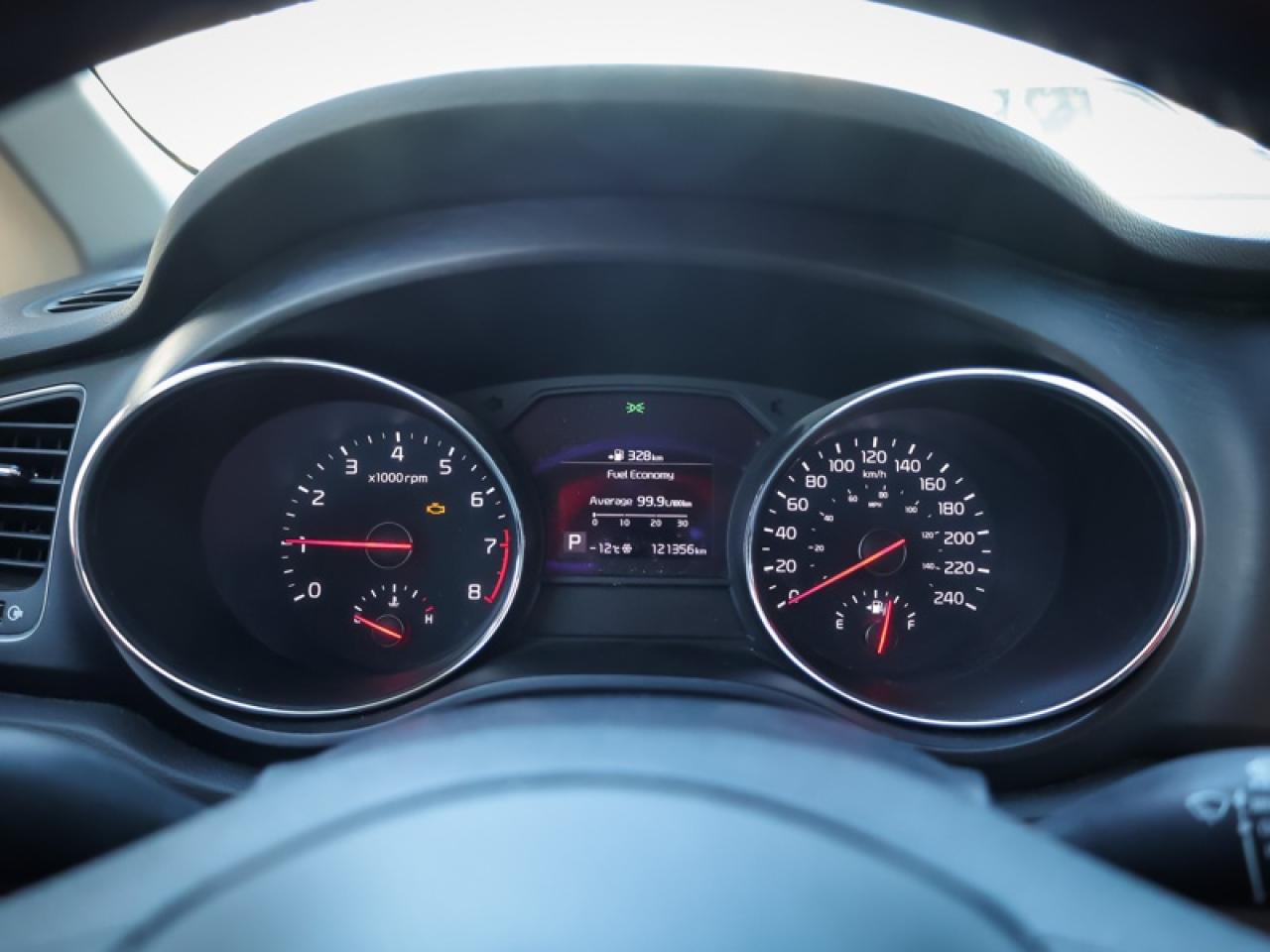 2019 Kia Sedona - $134 B/W Photo