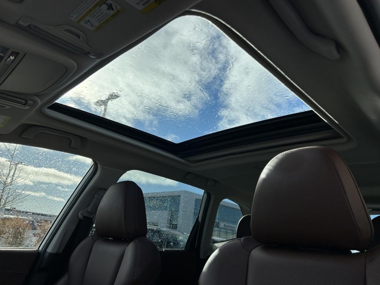 2023 Subaru Forester Premier  - Leather Seats Photo