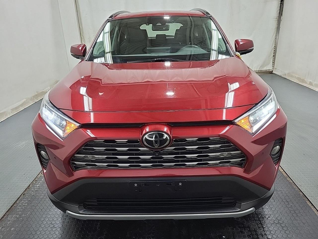 2019 Toyota RAV4 LIMITED  - Photo #4