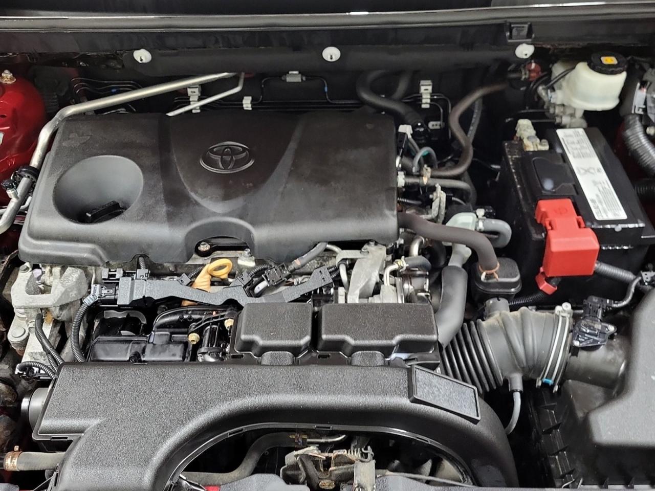 2019 Toyota RAV4 LIMITED  - Photo #6