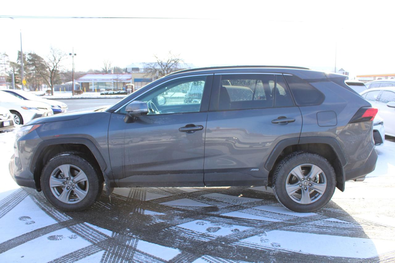 2024 Toyota RAV4 Hybrid XLE AWD Photo4