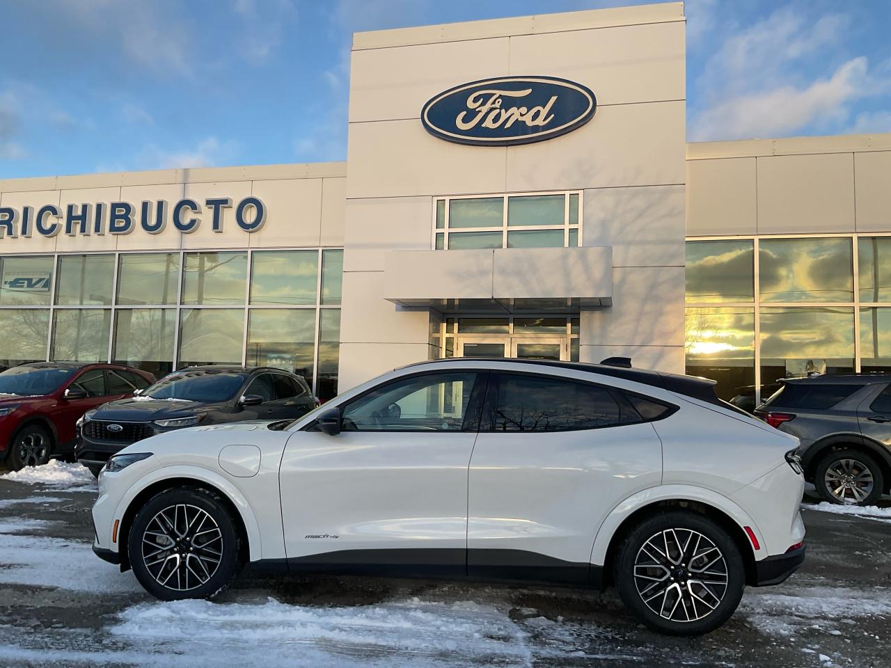 2025 Ford Mustang Mach-E Premium Photo3