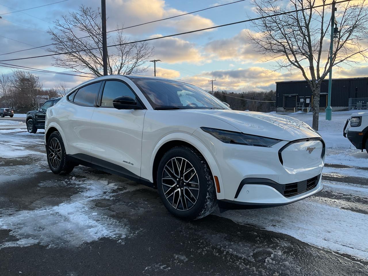 2025 Ford Mustang Mach-E Premium Photo2
