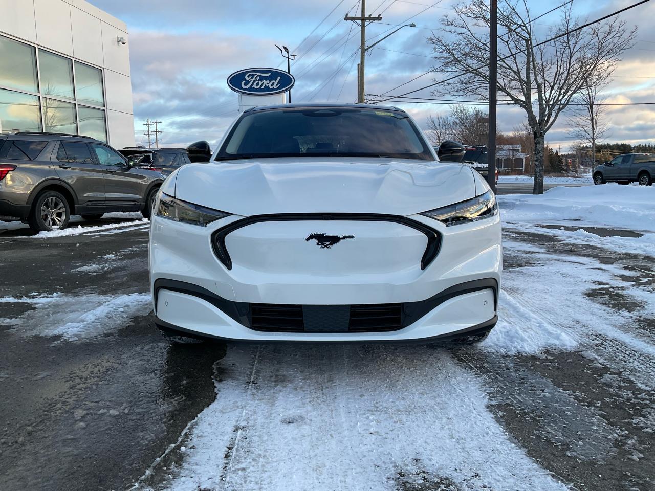 2025 Ford Mustang Mach-E Premium Photo1