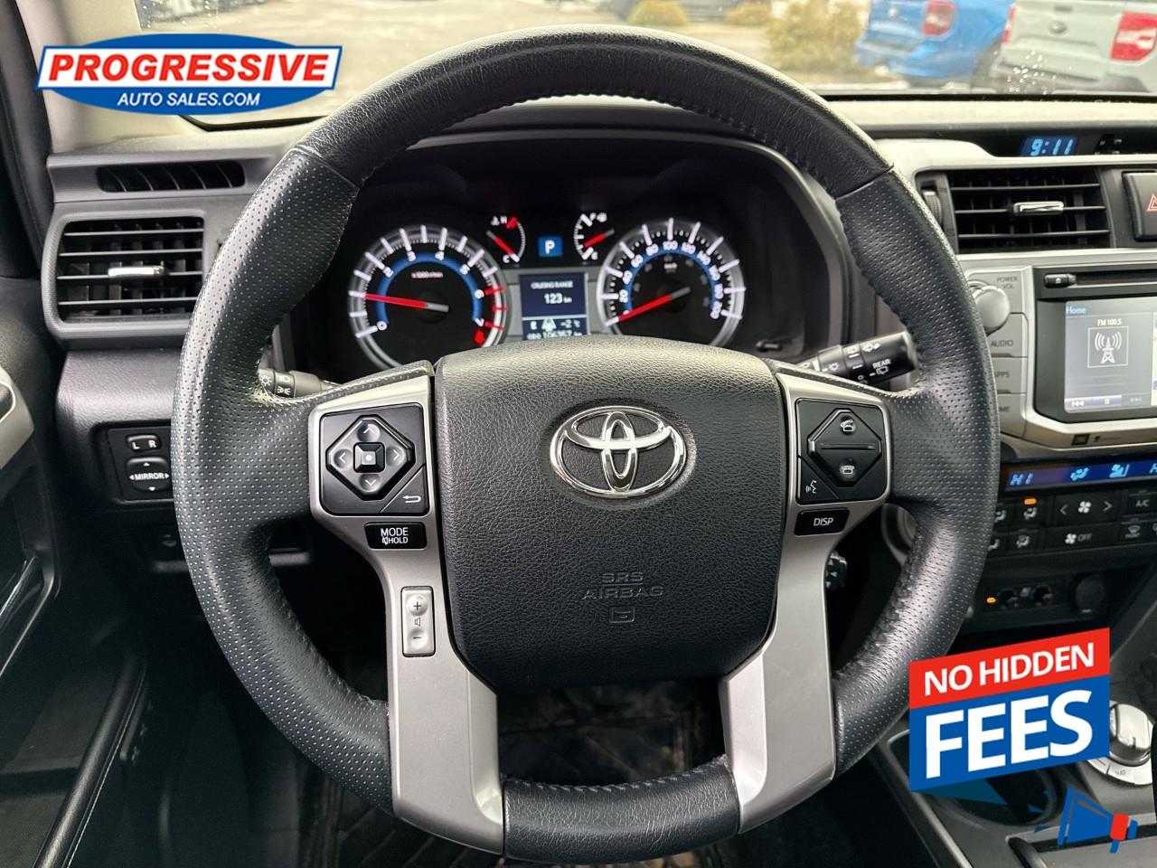 2019 Toyota 4Runner SR5 Photo